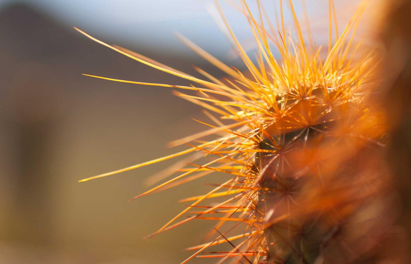 Satellite against a backdrop of Earth