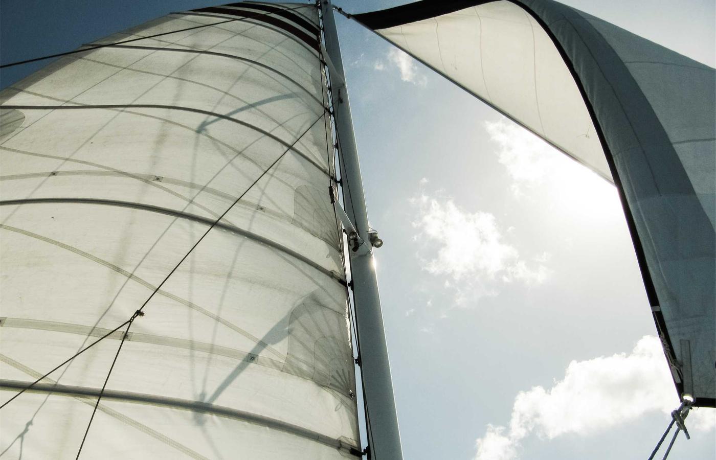 Portrait of Dr. Alan Grant