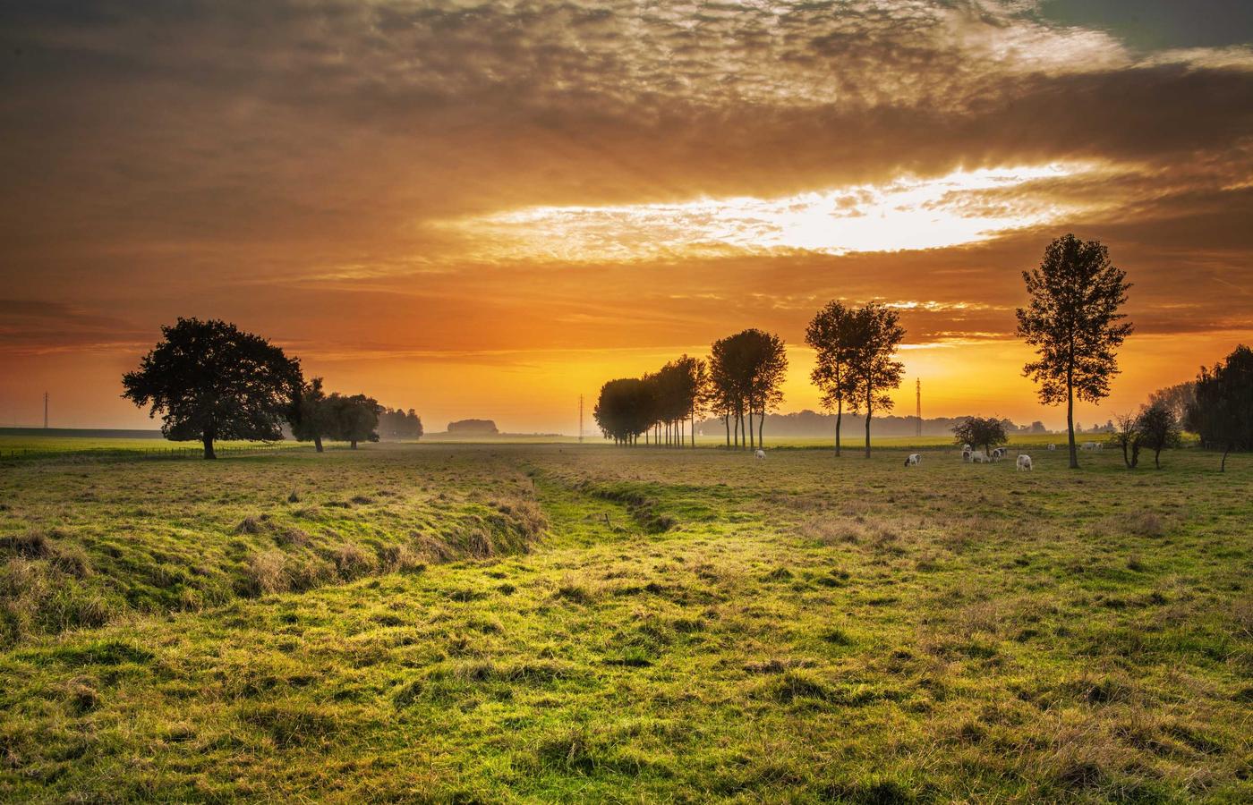 Portrait of Dr. Evelyn Reed
